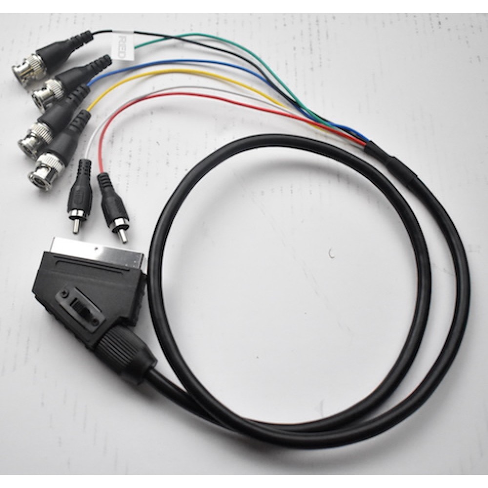 male%20scart%20to%20BNC%20with%20switch-1000x1000.JPG